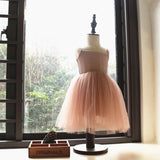 Tulle Dress with Ribbed Bodice